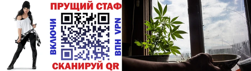 ГАШ Вольск