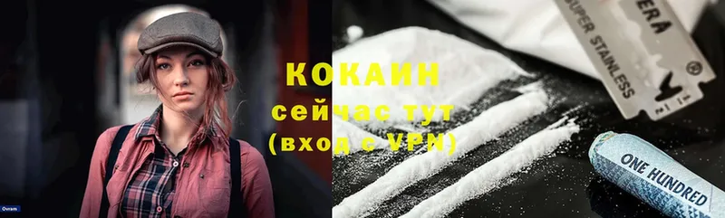 КОКАИН Fish Scale  закладка  Вольск 