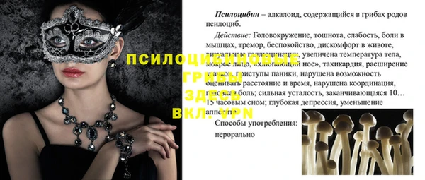 ГАЛЛЮЦИНОГЕННЫЕ ГРИБЫ Покачи